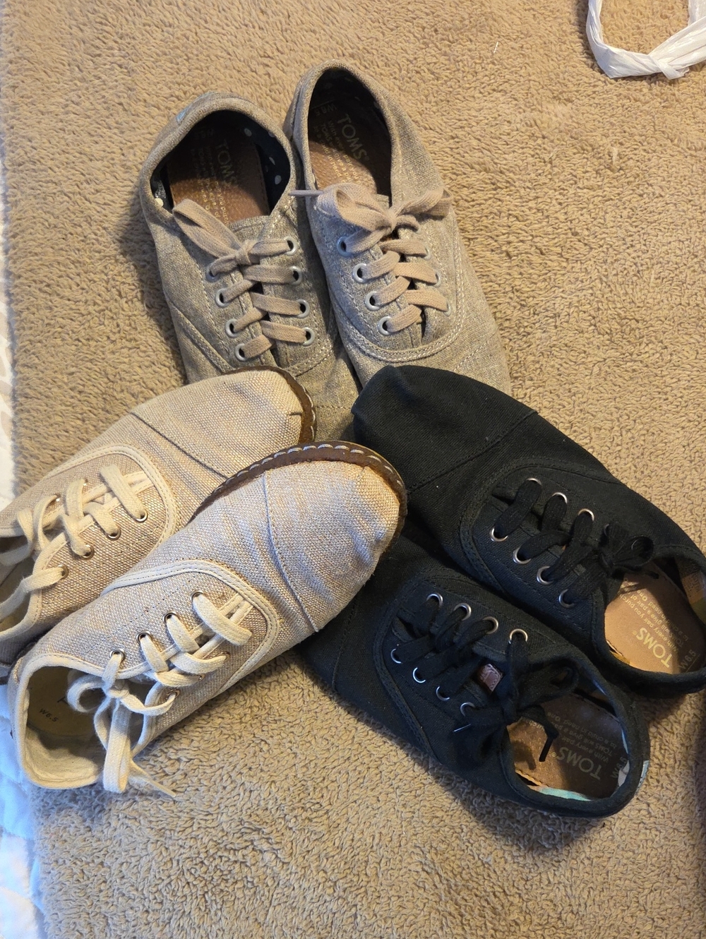 Toms - Picture 13 of 13